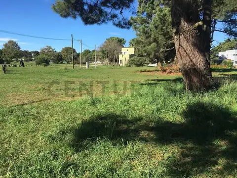 Venta de lote en La Caleta, Mar Chiquita – Naturaleza, Tranquilidad y Mar