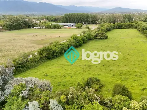 Terreno en Venta de 30800,0 m2