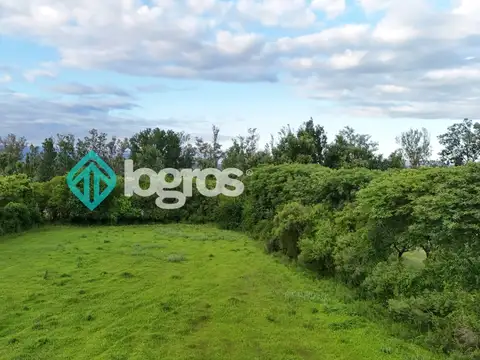 LOTE EN VENTA - 30800 m2 - RP 99 - SALTA