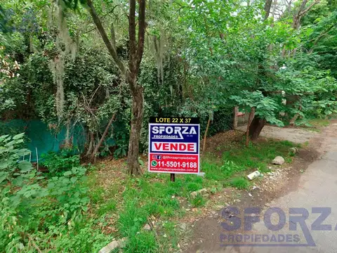 Lote en venta en bella vista en ubicación con potencial de desarrollo