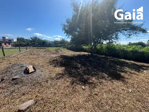 Terreno en Venta 16  mts Frente
