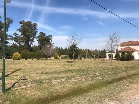 Fincas de San Vicente Golf