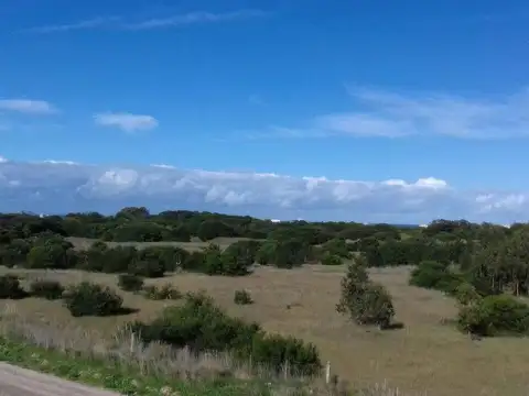 Terreno en venta - 184980Mts2 - Necochea
