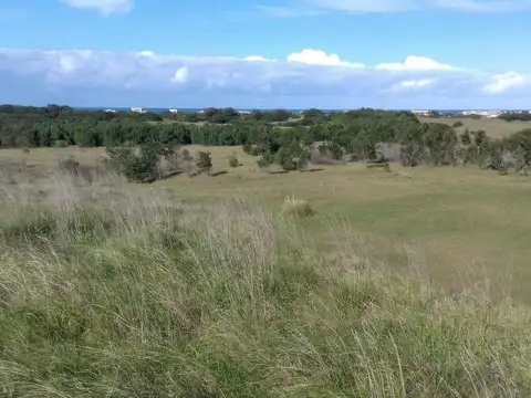 Avenida Armada Argentina y 557