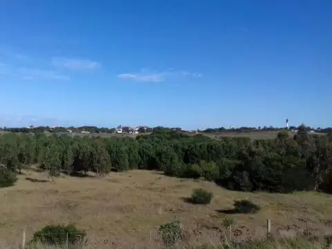 Avenida Armada Argentina y 557