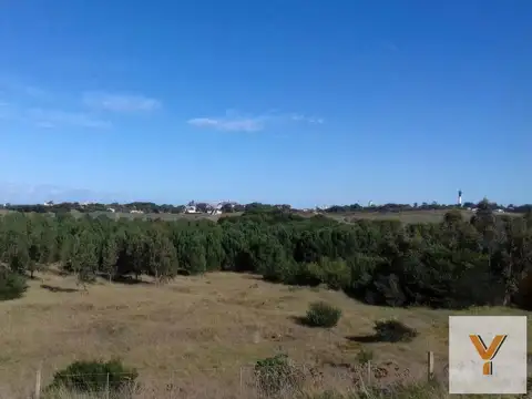 Avenida Armada Argentina y 557