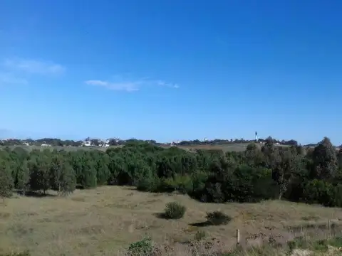 Avenida Armada Argentina y 557