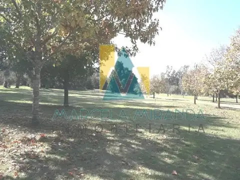 Terreno en Venta de 6717,0 m2