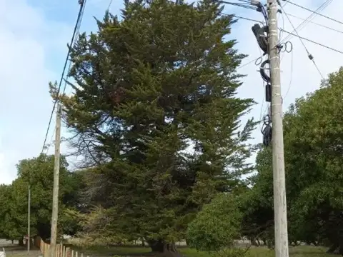 Terreno en Venta de 3740,0 m2