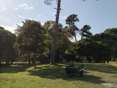 20 e/ 53 y 55