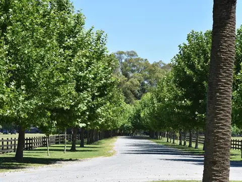 Terreno en Venta 20  mts Frente