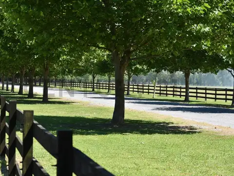 Terreno en Venta en Countries y Barrios Cerrados en General Rodriguez, USD 80.000