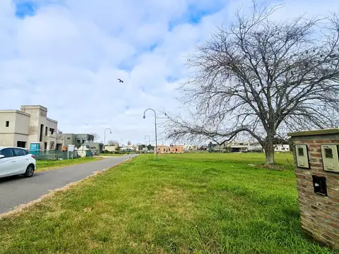 Village Del Parque 8800