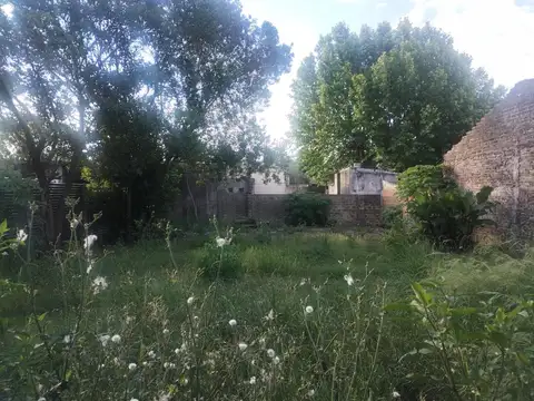 Terreno en Venta 11  mts Frente