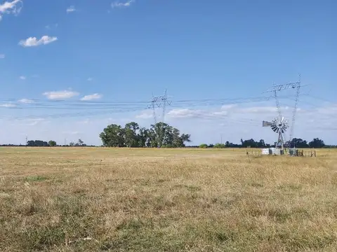 Venta Campo  en Lobos 16 has - Paraje Las Chacras