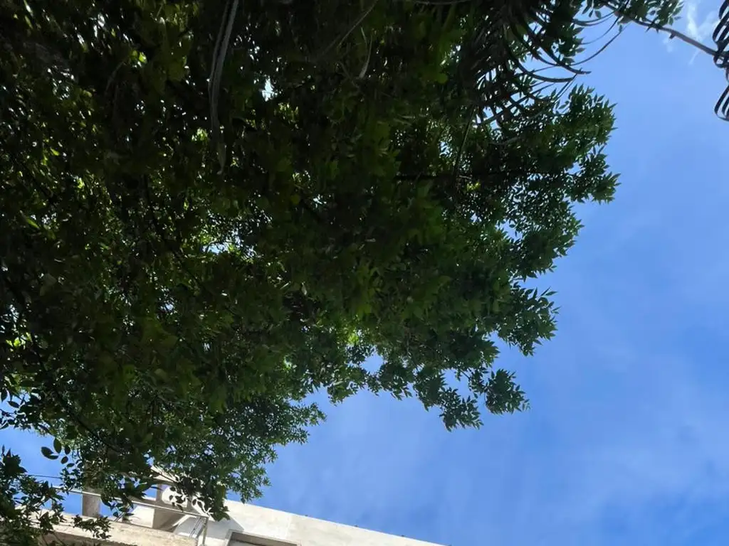 Emprendimiento de 12 Unidades