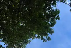 Emprendimiento de 12 Unidades