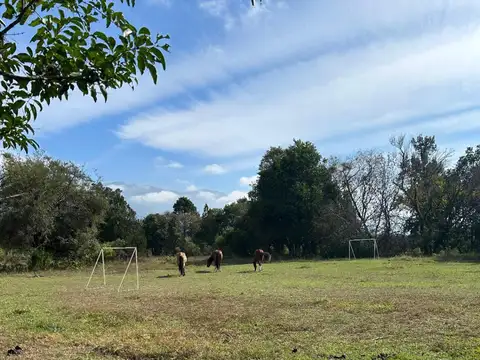 Finca en VENTA - Campo Quijano