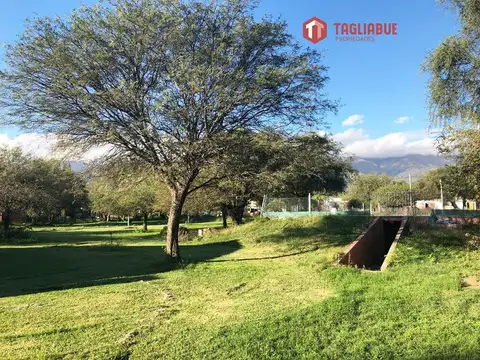 Importante Complejo de Cabañas