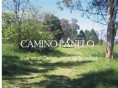 LOTEO CAMINO PANELO - VENTA DE TERRENO EN CAÑUELAS