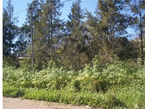 Dorrego y hernandez 600