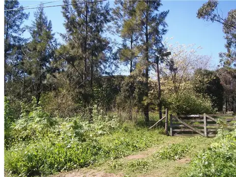 Dorrego y hernandez 600