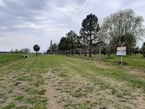 Terreno en Venta de 5017,0 m2