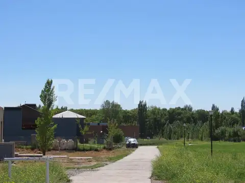 Acceso Nueva España 100