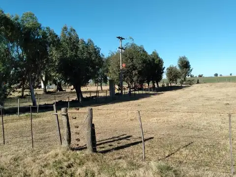 Campo en Ingeniero Thompson