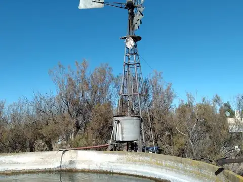 Acceso ingeniero thompson