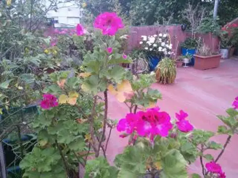 Depto Tipo Casa en Venta en Almagro Norte, USD 269.900