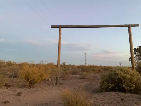 Vega