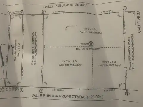 Venta Finca Alfalfa apta feedlot en San Martín
