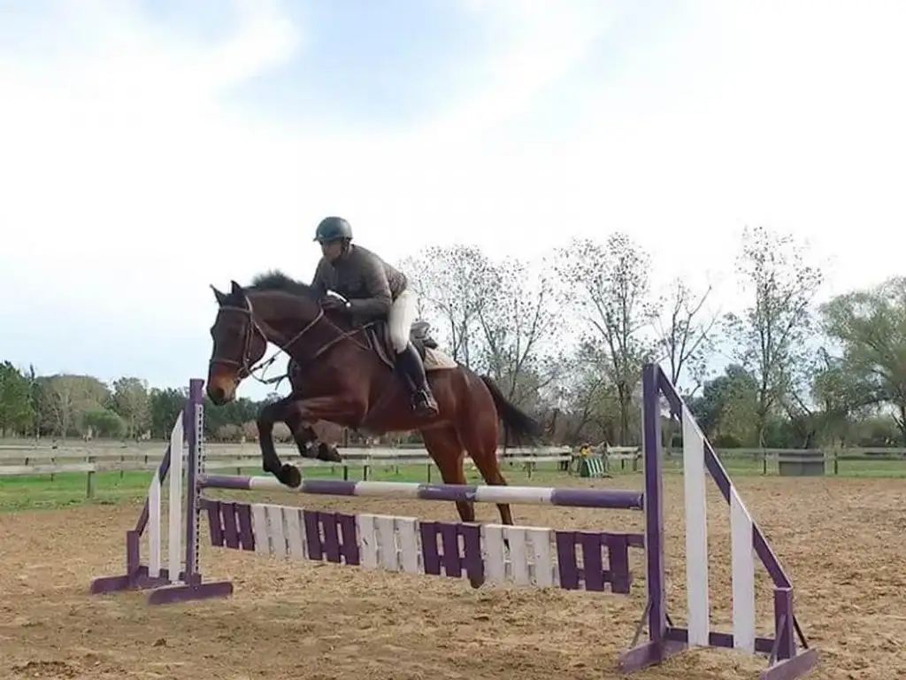 Lote en interno fondo a pulmon verde  Area 1- San Sebastian  - Foto 30