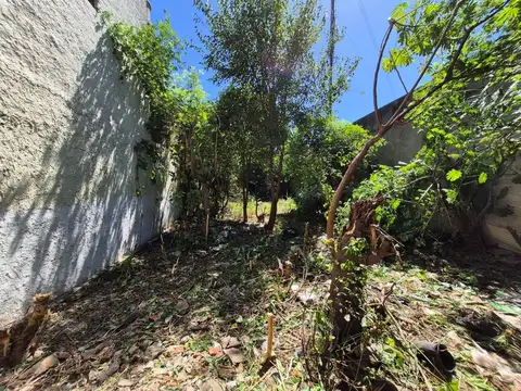 VENTA LOTE DE 10x29 - 290 m2 - VILLA DOMINICO