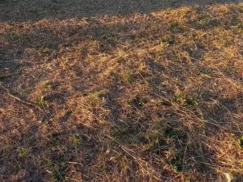 Terreno en venta - 642mts2 - Los Hornos, La Plata