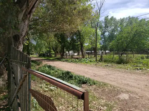 Terreno en Venta en Cuartel V, USD 15.000