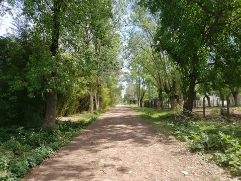 Terreno en Venta 73  mts Fondo