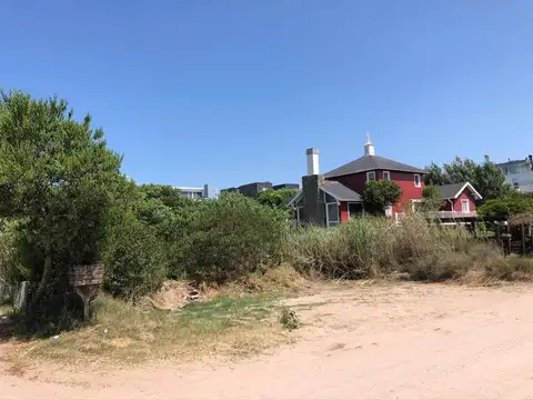 AVUTARDA Y NOGAL