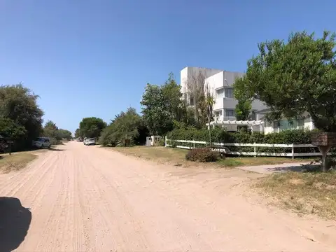 AVUTARDA Y NOGAL