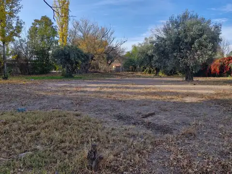 Loria  al 5900 Chacras de Coria