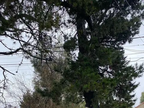 Terreno en venta - 426Mts2 - Tandil