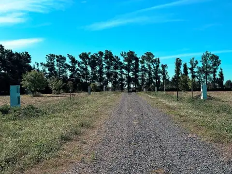 Terreno en Venta 48  mts Fondo
