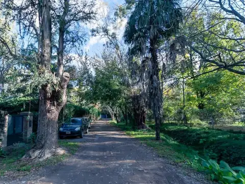 Terreno en Venta en Villa Elisa, USD 60.000
