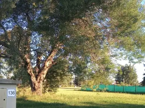 Terreno en Venta en Area 60, USD 32.000