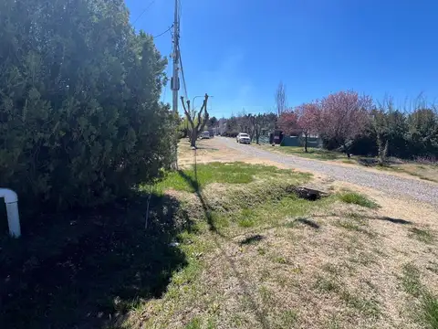 Terreno en Venta en Colonia las Rosas, USD 200.000