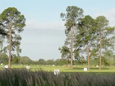 Pinares Country Club