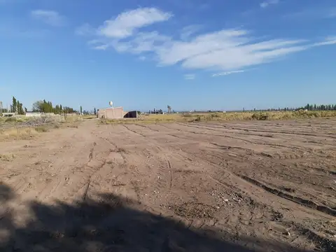 ADOLFO CALLE y ESPINELLI