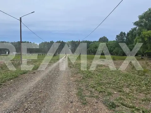 LOTE DE 2.500 M2 - LEJOS DE BS AS - SENILLOSA