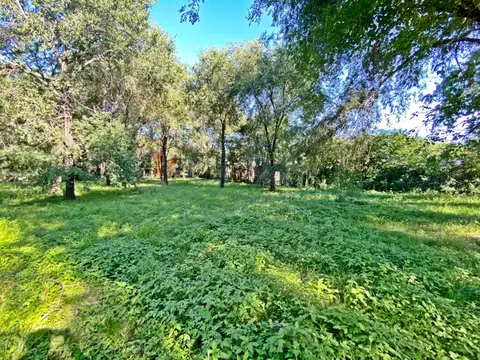 LOTE EN VENTA EN ALTA GRACIA